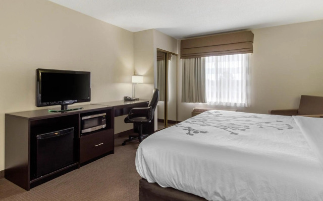 Sleep Inn & Suites Allendale