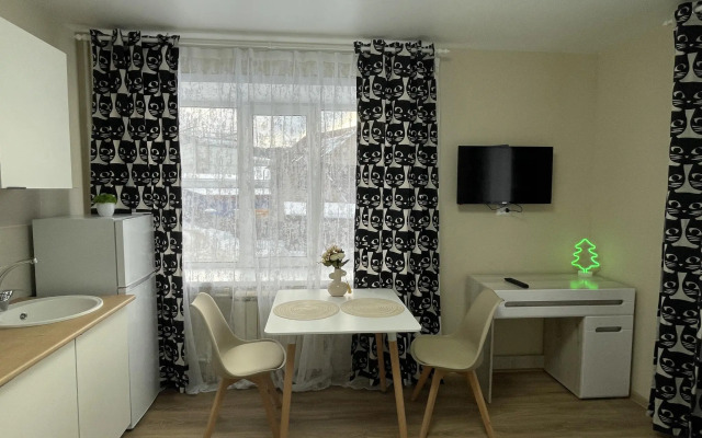 Apartment Svetlana on Ulagasheva street