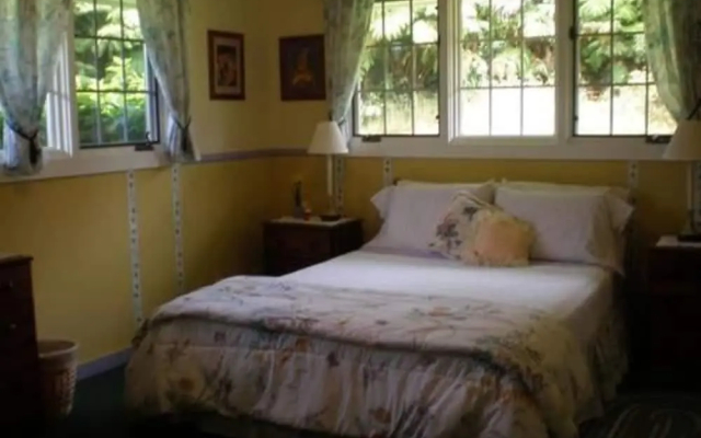 At the End of the Road Bed & Breakfast - Hotel in Volcano - Photo 5