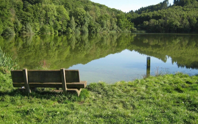 Spacious Apartment in Immerath With Sauna