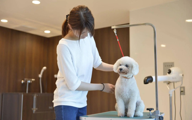 Izumigo Toba Dog Paradise Hotel