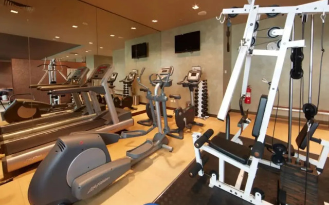 Light Filled Modern 1 Bedroom Apartment Close To Beach