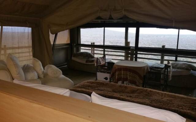 Thulani Game Lodge And Eco Estate