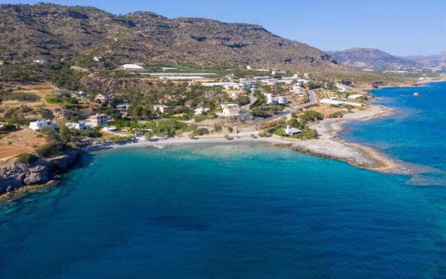 Pancratium #2 Mavros Kolimpos