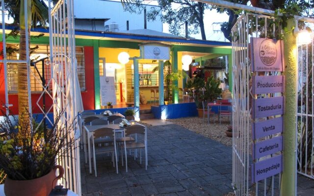 Casa del Café Oro de Los Tuxtlas