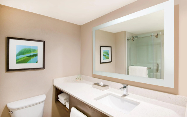 Holiday Inn Resort Aruba