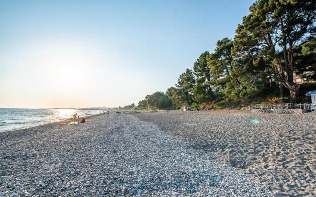 Park-hotel Abkhazia