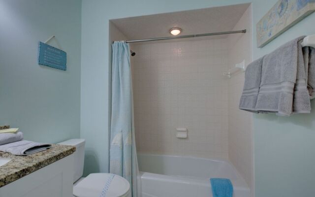 Anna Maria Island Beach Palms