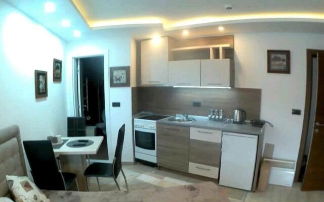 Studio MIPS S58 Milmari Resort Kopaonik