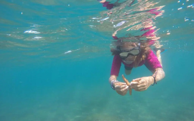 Espectacular en primera línea de la playa