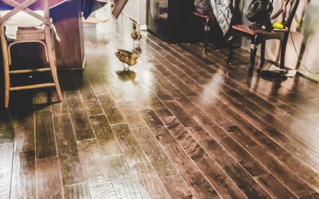 Airstream Houseboat Amazing Lake Travis View