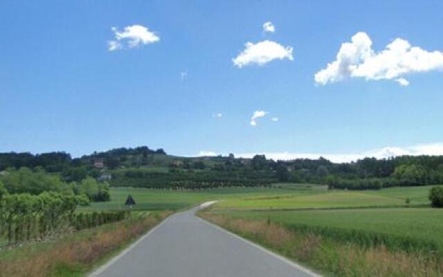 La Volpe E L'uva