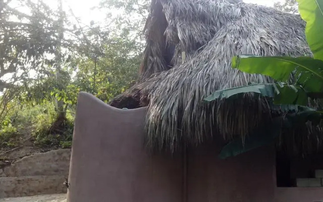 Zamukia
