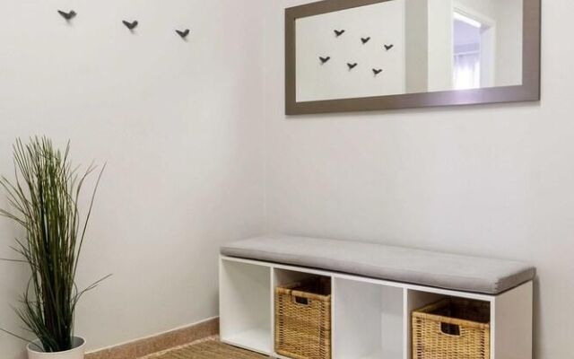 Daisy Elegance in the heart of Athens