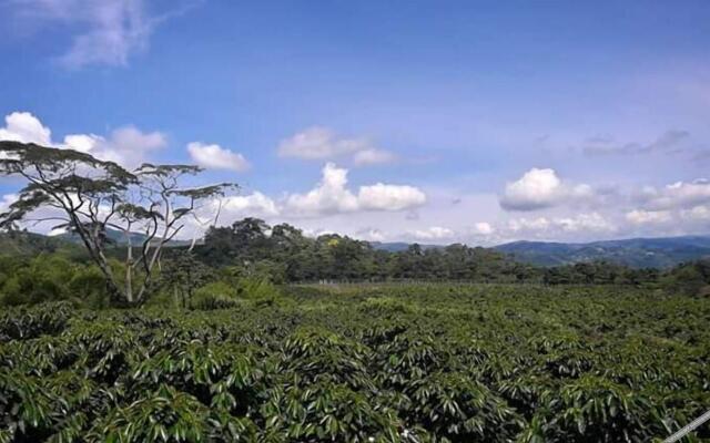 Hotel Hacienda Cafetera La Gaviota