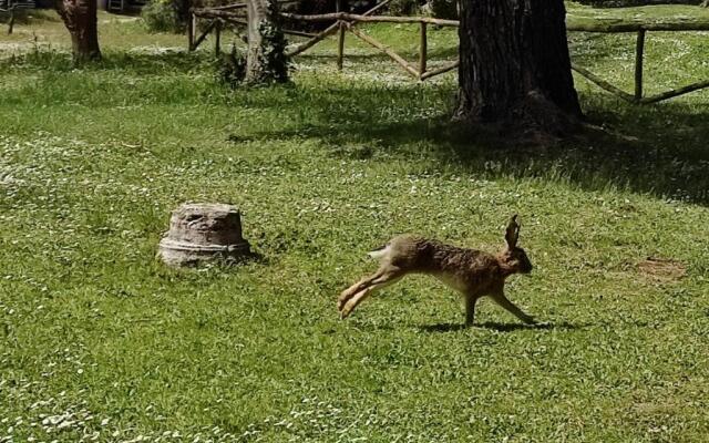 Agriturismo Bio Pian Dei Casali