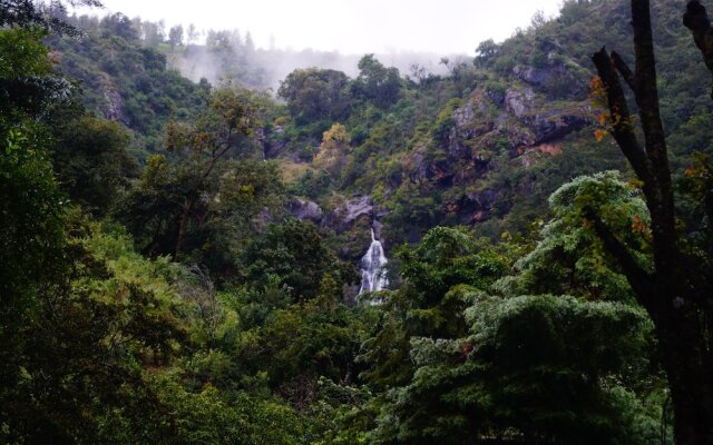 Secret Valley Jungle Resort