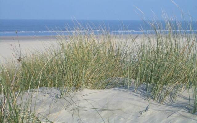 Klabautermann Maywald