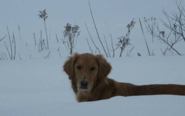 Table dans les nuages