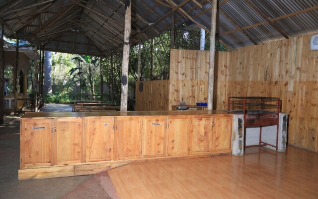 The Paradise In Backpackers