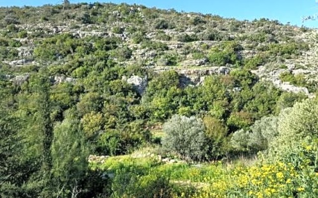 Garden and sea