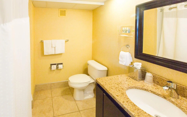 Holiday Inn Sioux Falls-City Centre by IHG