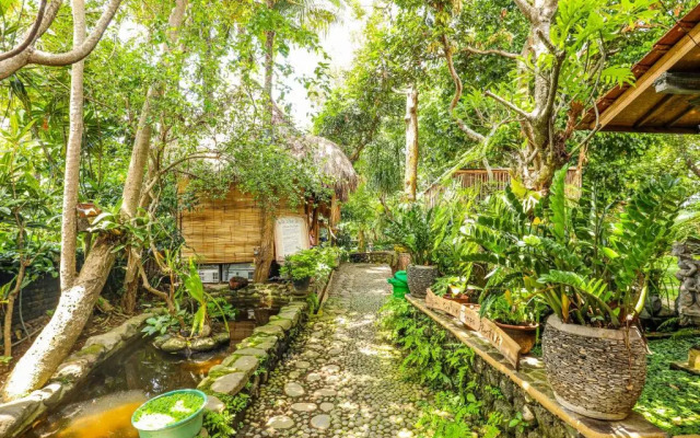 Omunity Bali