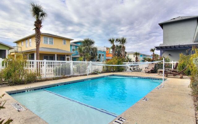 Dolphin Cove 68 by RedAwning