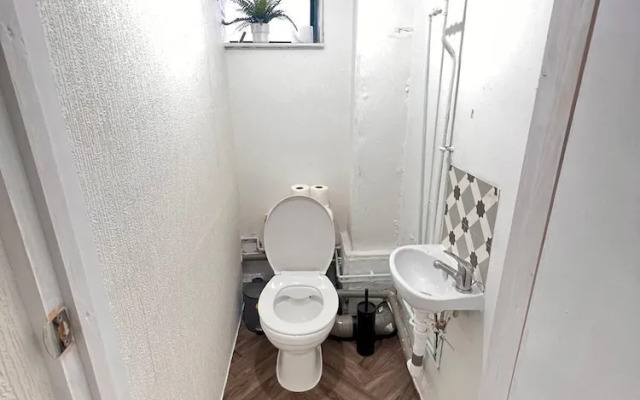 Nest And Limited