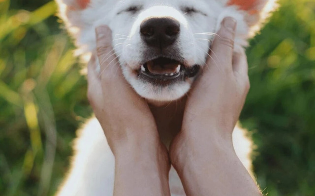 Pine Mountain - Unit 13