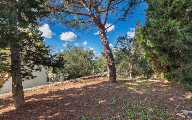 3677 Trullo Foresta Forte by Barbarhouse