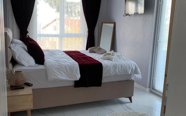 Mesmerizing House With Heated Pool in Sapanca
