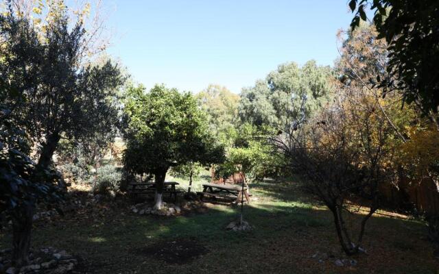 Shulamit Yard