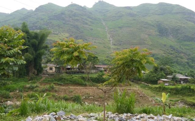 QT Du Gia Guesthouse