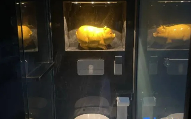 Xichang Shuiyue Jingshe Homestay