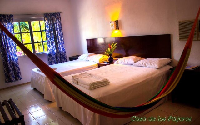 Casa De Los Pájaros - B&B