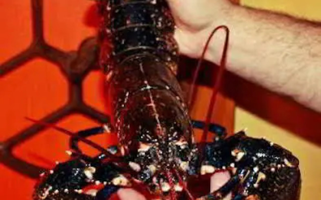 Hosteria San Emeterio