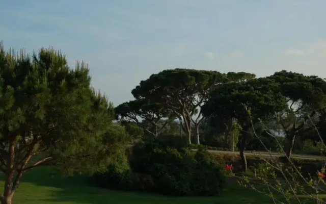 Villa Vale das Flores