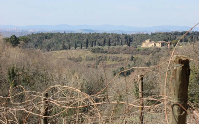 Podere Calcinaia