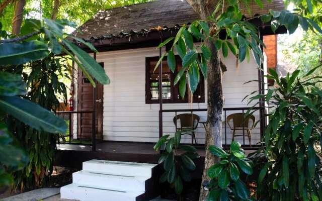 Province de Surat Thani