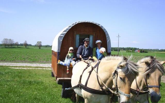Samsø Horse Wagons