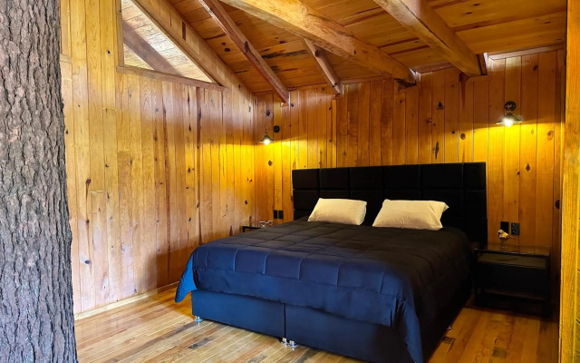 PINE TREE Hotel Boutique & Cabañas
