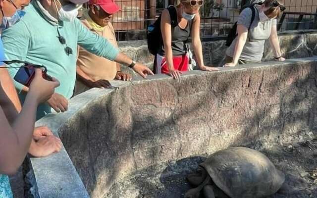 Hostal Muro de las Lagrimas