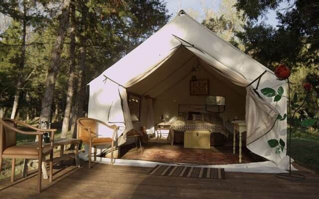 Norwegian Wood Ranch