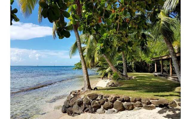 Fare Upu beach front cottage - Moorea