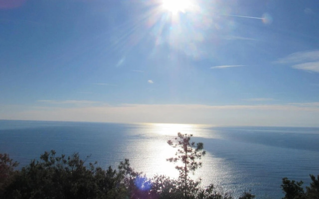 Green Quiet Affittacamere