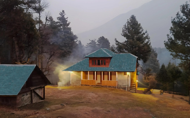 Pahalgam Woods
