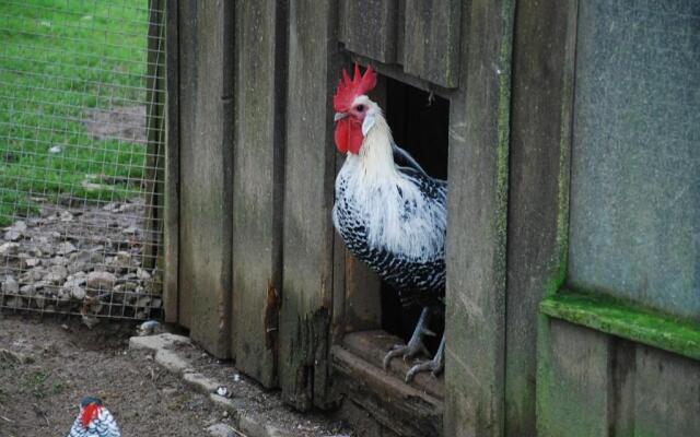 Ferienwohnungen Landgasthaus Janshen