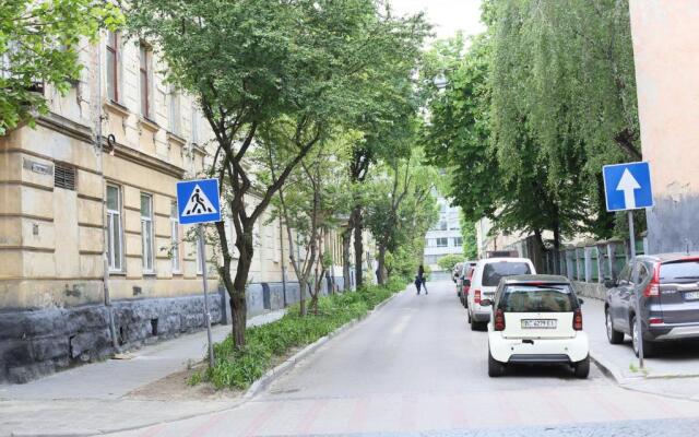 Old Lviv Apartment