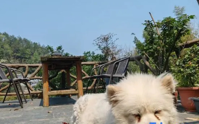 Shaoshan Dream Good Villa